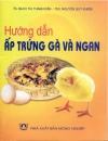 Kỹ thuật ấp trứng gà và ngan