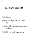 Vận hành các công trình xử lý nước thải