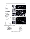 Giáo trình VI SINH VAT HỌC MÔI TRƯỜNG