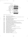 Automobile Electrical and Electronic Systems 459 trang