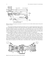 Charging the Internal Combustion Engine Hermann Hiereth Peter Prenninger