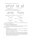 Hoá hữu cơ Hợp chất hữu cơ đơn và đa chức t1