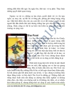 Tarot Ebook Tiếng Việt Hướng dẫn bài Tarot và cách bói từ A đến Z