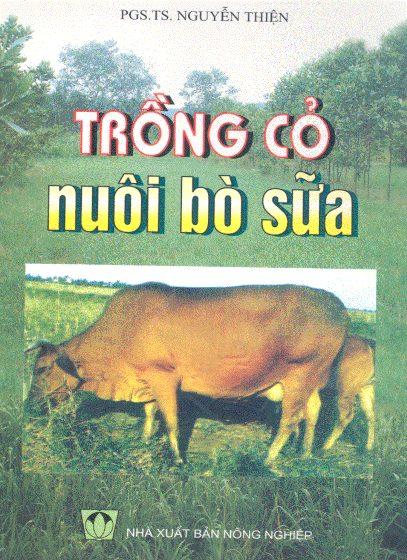 Trồng cỏ nuôi bò sữa