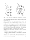 On Universal Cycles of Labeled Graphs