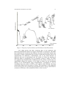 Immobilization of Dithizone onto Chitin Isolated from Prawn Seawater Shells P merguensis and its Preliminary Study for the Adsorption of Cd II Ion