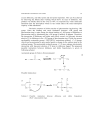 Immobilization of Dithizone onto Chitin Isolated from Prawn Seawater Shells P merguensis and its Preliminary Study for the Adsorption of Cd II Ion