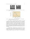 Entrapment of Avidin in Sol Gel Derived Silica Glasses