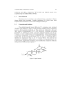 A Chemical Study on Phyllanthus reticulatus