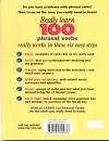 Really Learn 100 Phrasal Verbs