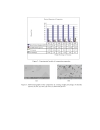 Characterization of Fe Cr Al2O3 Composites Fabricated by Powder Metallurgy Method with Varying Weight Percentage of Alumina