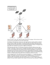 Configuring Enterprise Networks Caching Arrays and Network Load Balancing