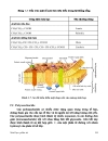 SINH HỌC PHÂN TỬ PGS TS nguyễn hoàng lộc