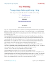 Ebook Nàng công chúa ngủ trong rừng