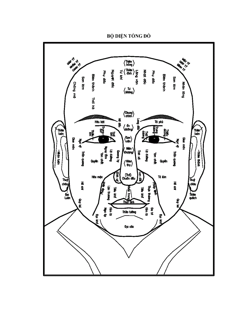 Sách tủ vi Bộ diện tổng đồ