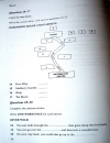 Cambridge Practice for Ielts 6 test 3