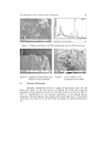 WEAR MECHANISM OF TiN TiAlN AND TiCN COATED DRILLS DURING DRILLING OF CARBON STEEL