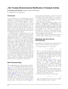 Non Faraday Electrochemical Modiﬁcation of Catalysts Activity