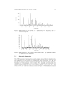 Phase Transformation of Rust in the Presence of Various Tannins