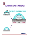 Corrosion anticorrosives