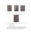 Mixing Behavior of Binary Polymer Particles in Bubbling Fluidized Bed