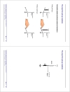 Programming Embedded Systems I