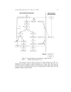 Pyrolysis liquid derived from oil palm empty fruit bunches