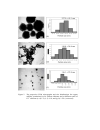 Formation and morphology of colloidal chitosan stabilized copper sulfides