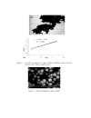 Formation and morphology of colloidal chitosan stabilized copper sulfides