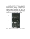 MORPHOLOGY STUDIES OF POROUS GaP SYNTHESIZED BY LASER INDUCED ETCHING