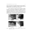 Influence of the Silica to Surfactant Ratio and the pH of Synthesis on the Characteristics of Mesoporous SBA 15