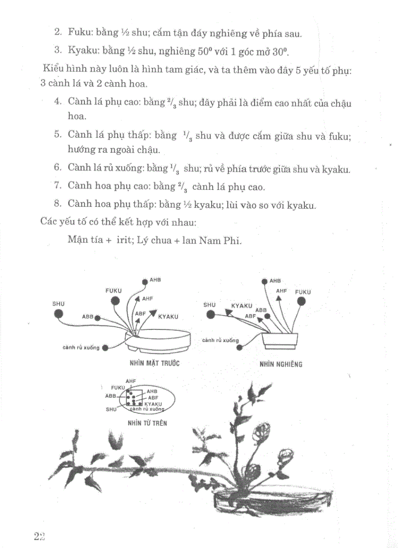 Nghệ thuật cắm hoa Nhật Bản IKEBANA tập 3