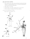 Nghệ thuật cắm hoa Nhật Bản IKEBANA tập 4