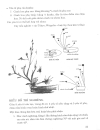 Nghệ thuật cắm hoa Nhật Bản IKEBANA tập 1 2 1