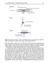 Erbium Doped Fiber Amplifiers Fundamentals and Technology