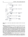 Erbium Doped Fiber Amplifiers Fundamentals and Technology