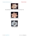 Ebook Nước phản ảnh tâm thức của chúng ta Masaru Emoto