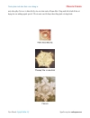 Ebook Nước phản ảnh tâm thức của chúng ta Masaru Emoto