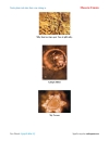 Ebook Nước phản ảnh tâm thức của chúng ta Masaru Emoto