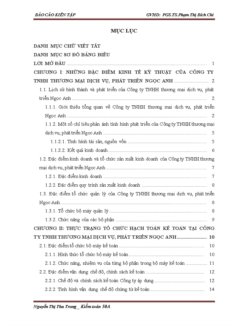 Thực trạng tổ chức hạch toán kế toán tại Công ty TNHH thương mại dịch vụ phát triển Ngọc Anh