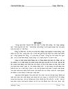 Các giải pháp nhằm đẩy mạnh hoạt động xuất khẩu mặt hàng chè của Công ty Xuất nhập khẩu Nông sản và Thực phẩm chế biến Đà Nẵng