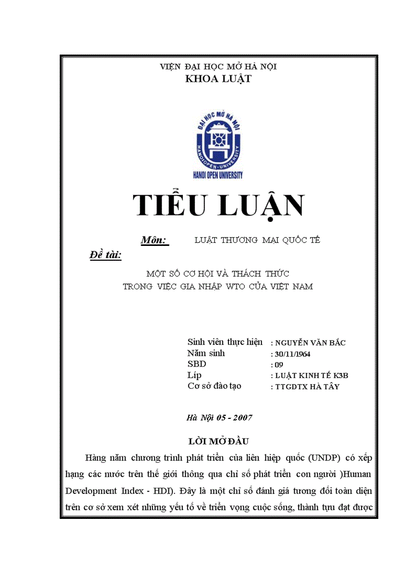 Việt Nam gia nhập WTO cơ hội và thách thức