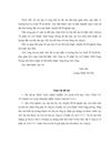 Thực trạng khách du lịch nội địa và các giải pháp thúc đẩy thị trường du lịch nội địa phát triển của công ty cổ phần Du lịch V Y C