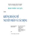 Khủng hoảng Mỹ nguyên nhân và những tác động