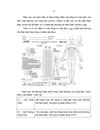 Nghiên cứu triệu chứng lâm sàng cận lâm sàng và kết quả điều trị phẫu thuật chấn thương cột sống bản lề Ngực Thắt lưng có tổn thương thần kinh