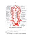 Nghiên cứu một số đặc điểm dịch tễ và yếu tố nguy cơ của các bệnh nhân TBMMN tại bệnh viện đa khoa tỉnh Long An giai đoạn 2008 2010 1