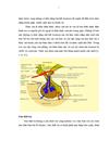 Nghiên cứu đặc điểm hình ảnh và giá trị của cộng hưởng từ trong chẩn đoán u sọ hầu 3