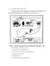 Nghiên cứu mối liên quan giữa rối loạn lipid máu tăng huyết áp ở bệnh nhân tai biến mạch máu não