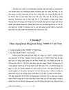 Một số giải pháp phát triển hoạt động bán hàng bằng hình thức thương mại điện tử ở Việt Nam