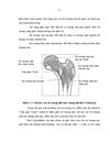 Đánh giá kết quả điều trị gãy liên mấu chuyển xương đùi ở người cao tuổi bằng kết hợp xương nẹp vít động tại Bệnh viện Xanh Pôn và Bệnh viện 198 1